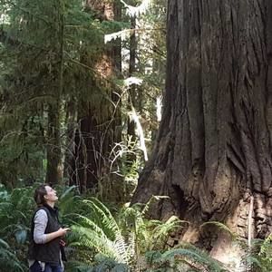 Meet your Posher, Kat